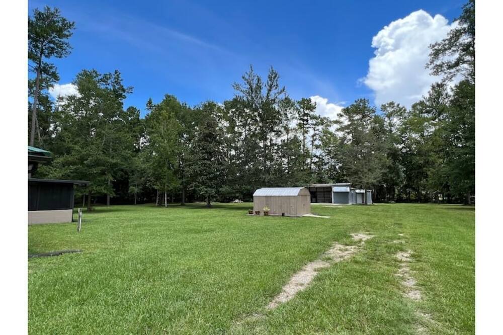 Photo of Outdoor in Middleburg