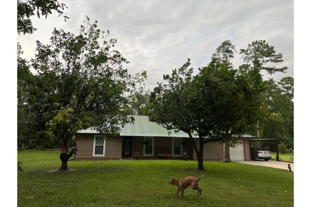 Photo of Outdoor in Middleburg