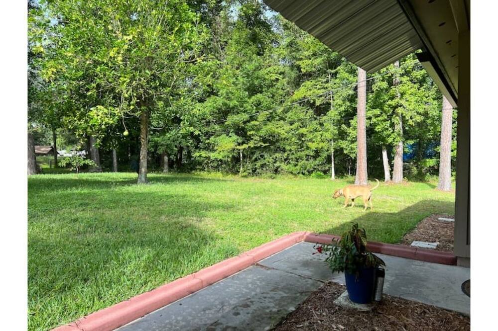 Photo of Outdoor in Middleburg