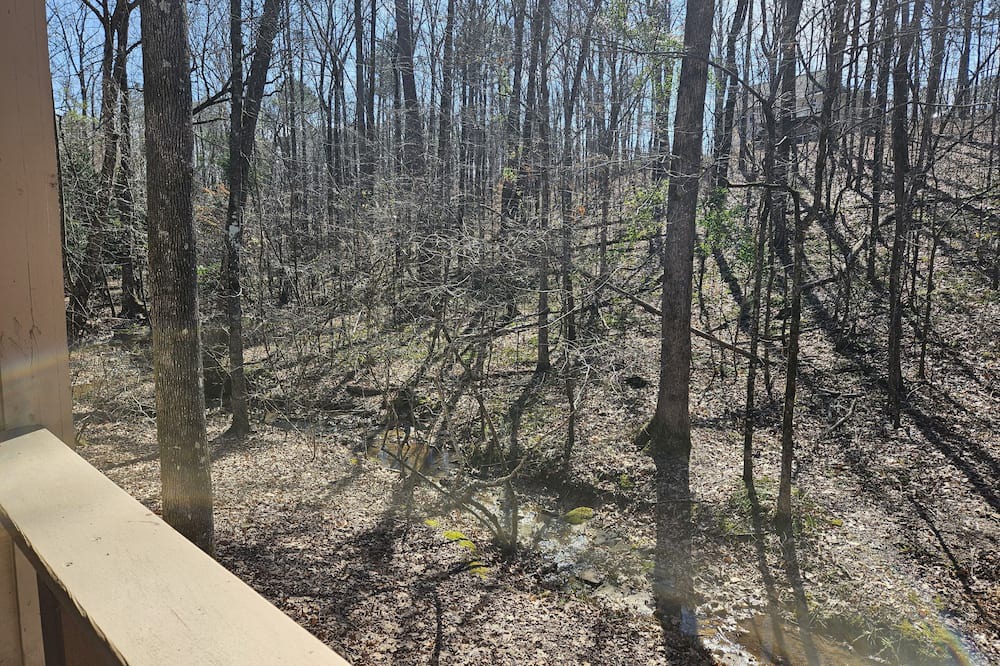 Photo of Outdoor in Pine Mountain Valley