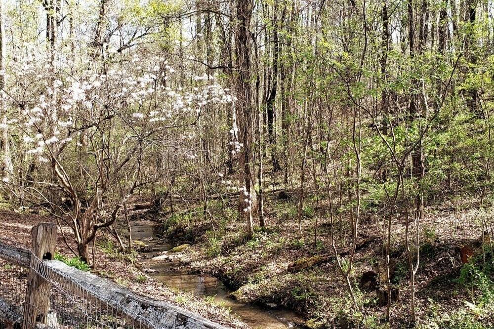 Photo of Others in Pine Mountain Valley