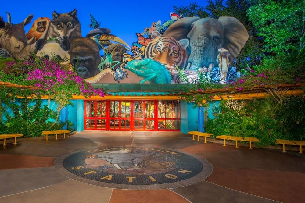 Photo of Outdoor in East Central Park