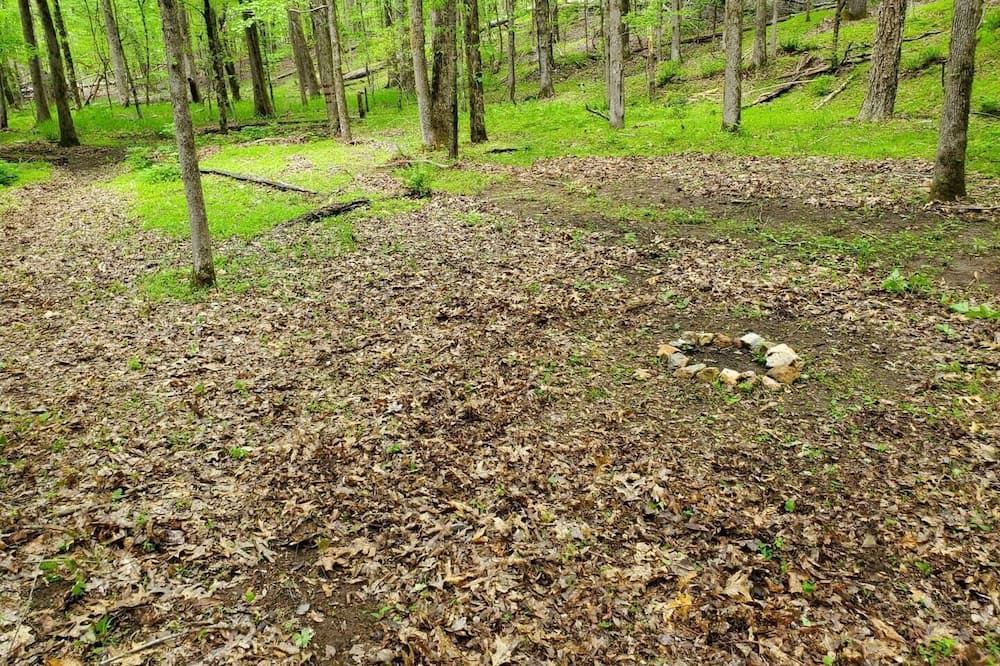 Photo of Others in LaGrange