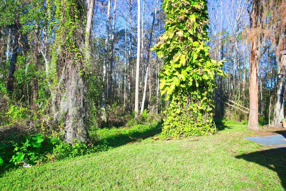 Photo of Outdoor in Orlando
