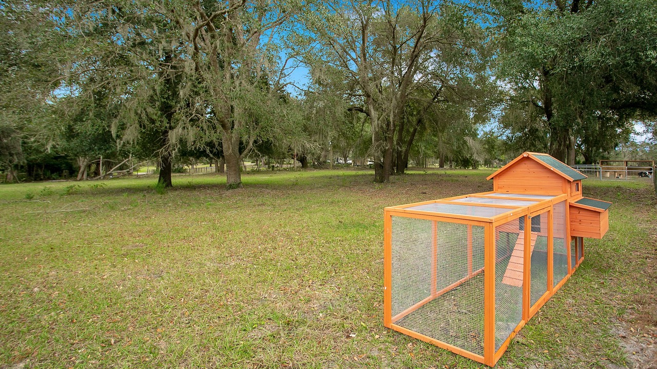 Photo of Outdoor in Umatilla