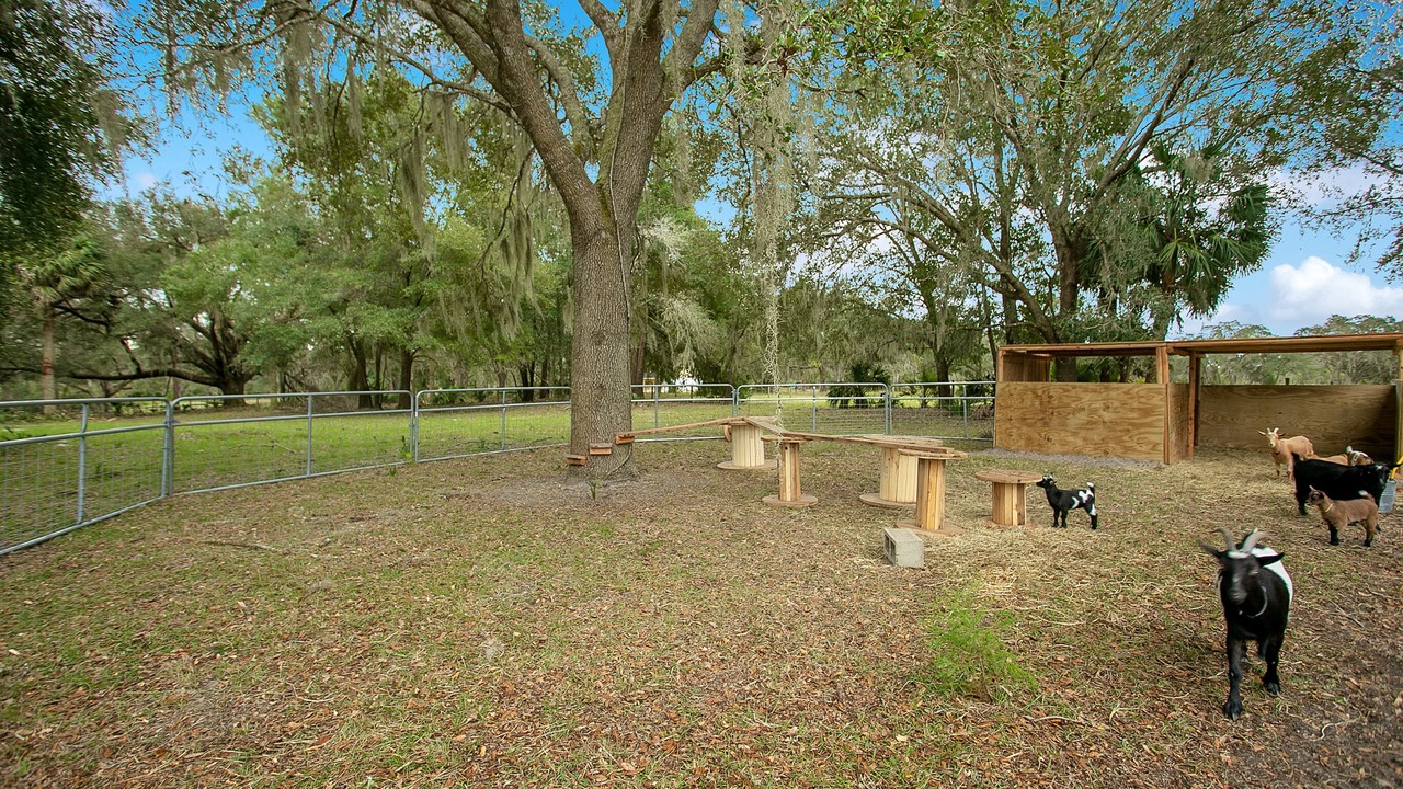 Photo of Outdoor in Umatilla