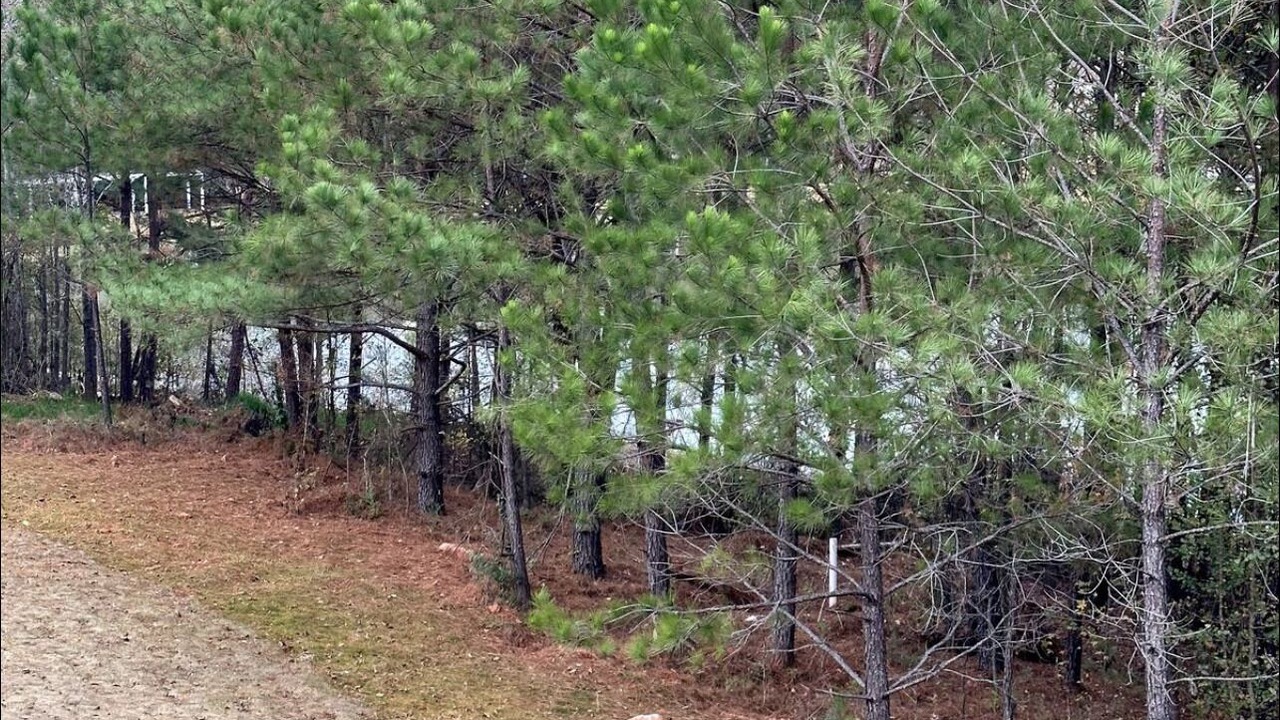 Photo of Outdoor in Hogansville
