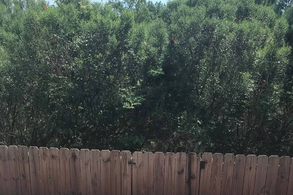 Photo of Outdoor in Grovetown