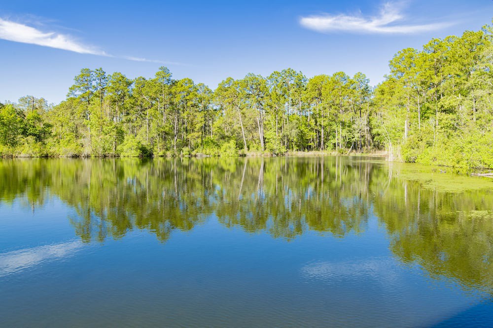 Photo of Outdoor in Fairhope