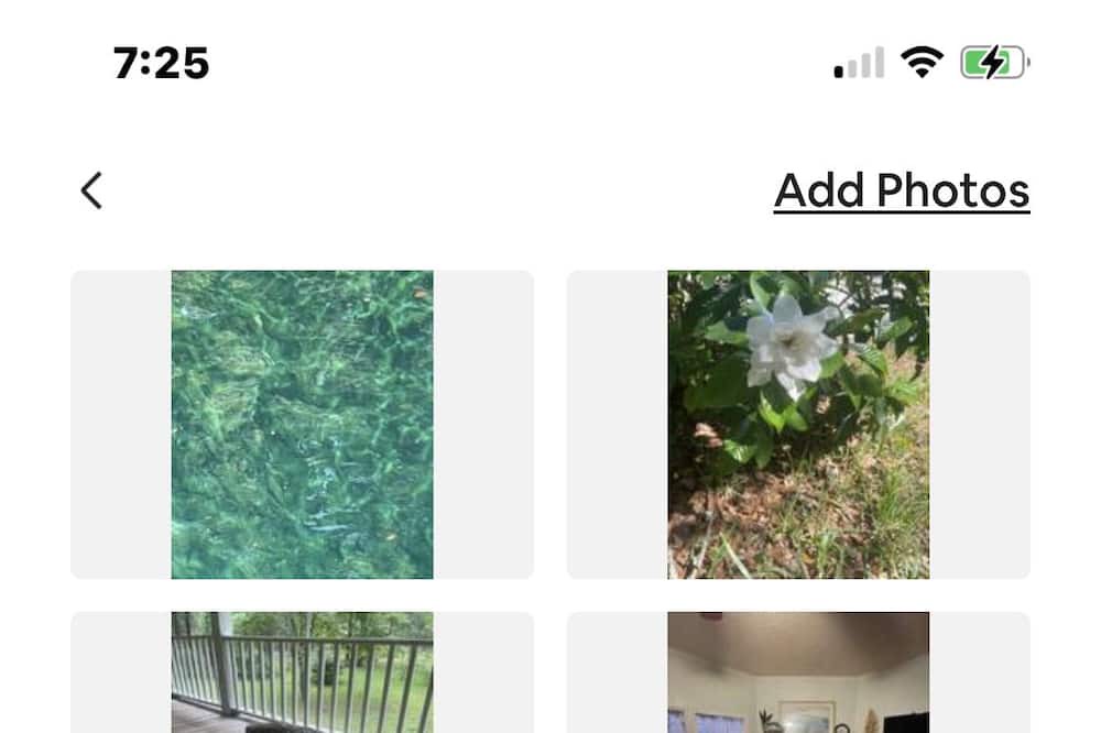 Photo of Others in Mayo