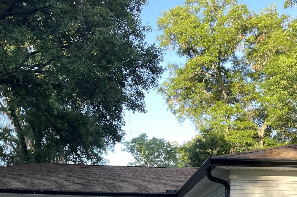 Photo of Outdoor in Tallahassee