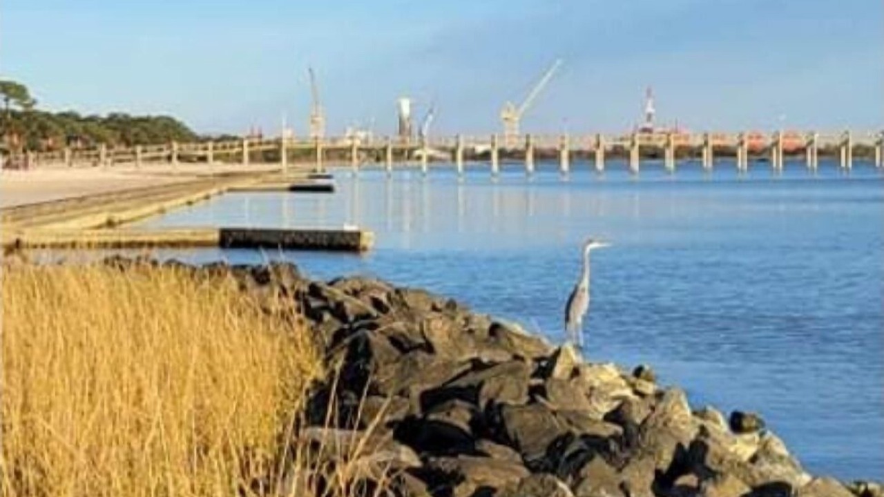 Photo of Others in Pascagoula