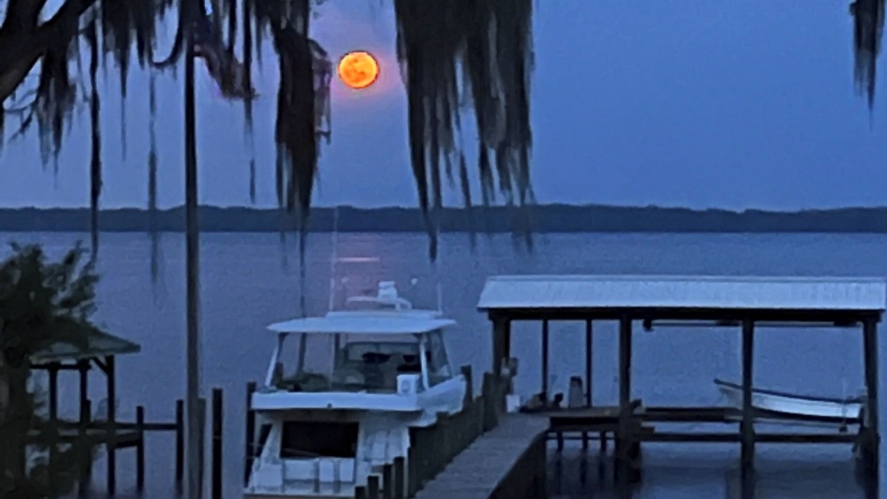 Photo of Outdoor in Crescent City