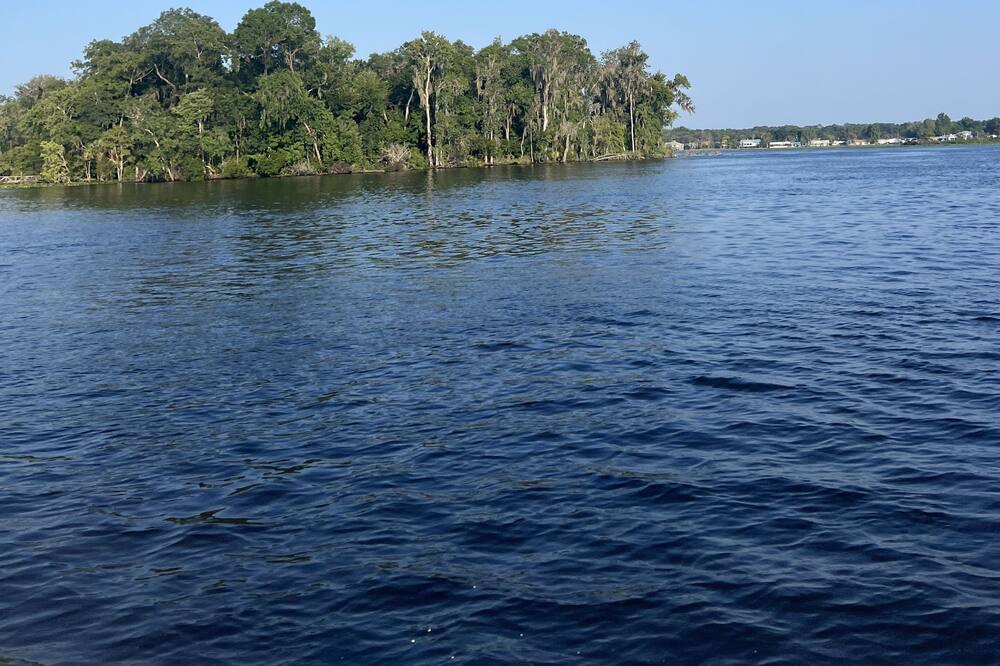 Photo of Others in Satsuma