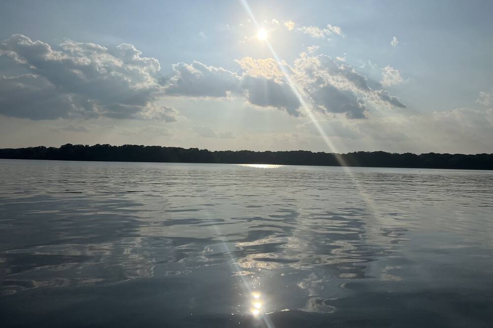 Photo of Others in Satsuma
