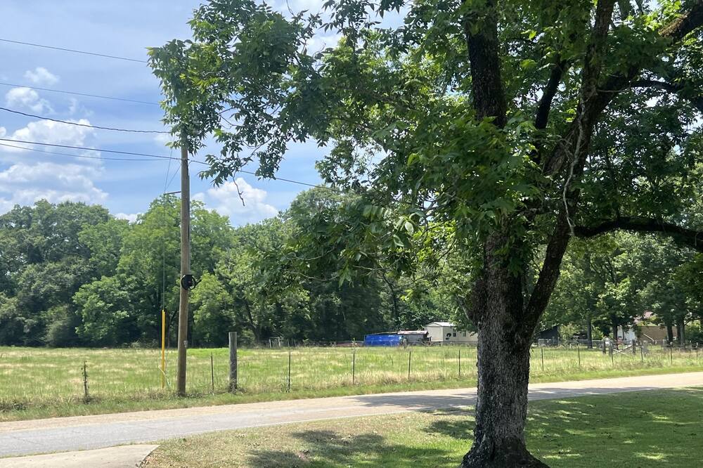 Photo of Outdoor in Brooklyn