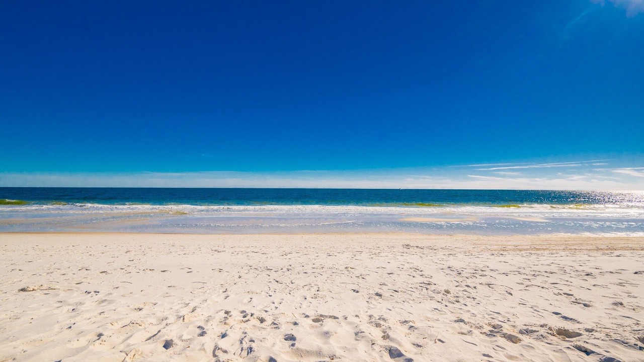 Photo of Others in Orange Beach