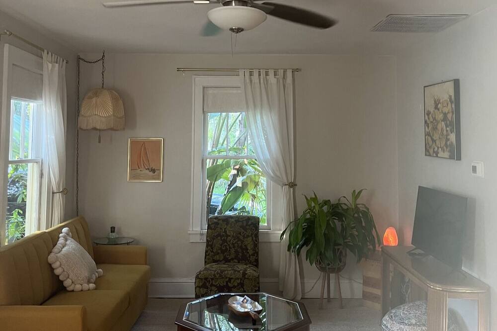 Photo of Livingroom in Thornton Park
