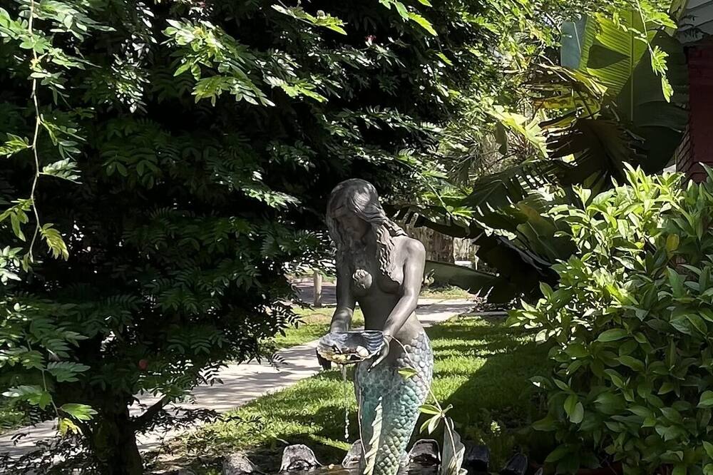 Photo of Outdoor in Thornton Park