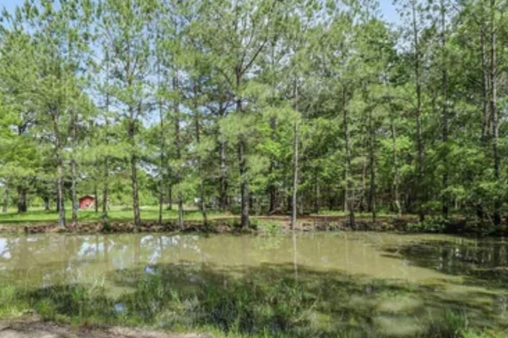Photo of Others in Moss Point