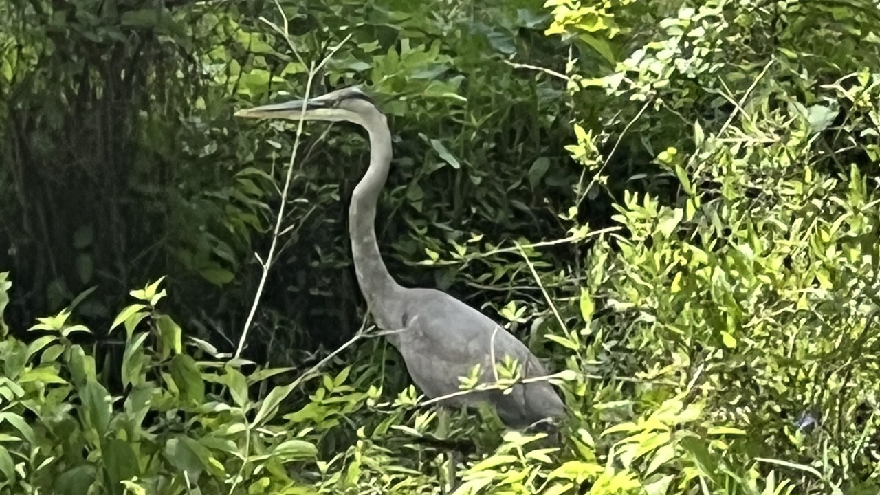 Photo of Outdoor in Palatka