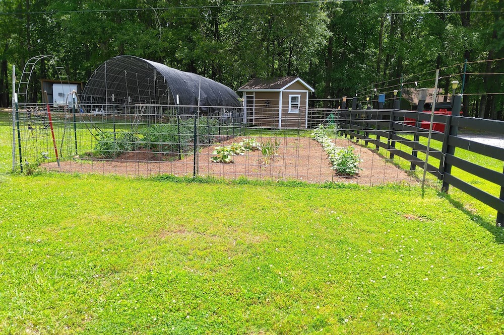 Photo of Outdoor in Inman