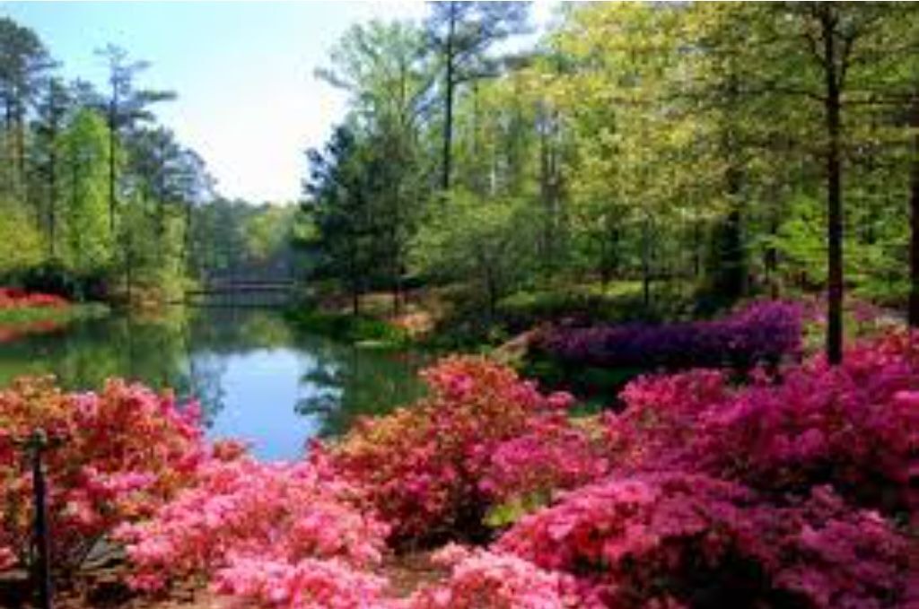 Photo of Outdoor in Millen