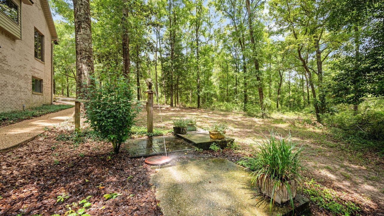 Photo of Outdoor in Daphne
