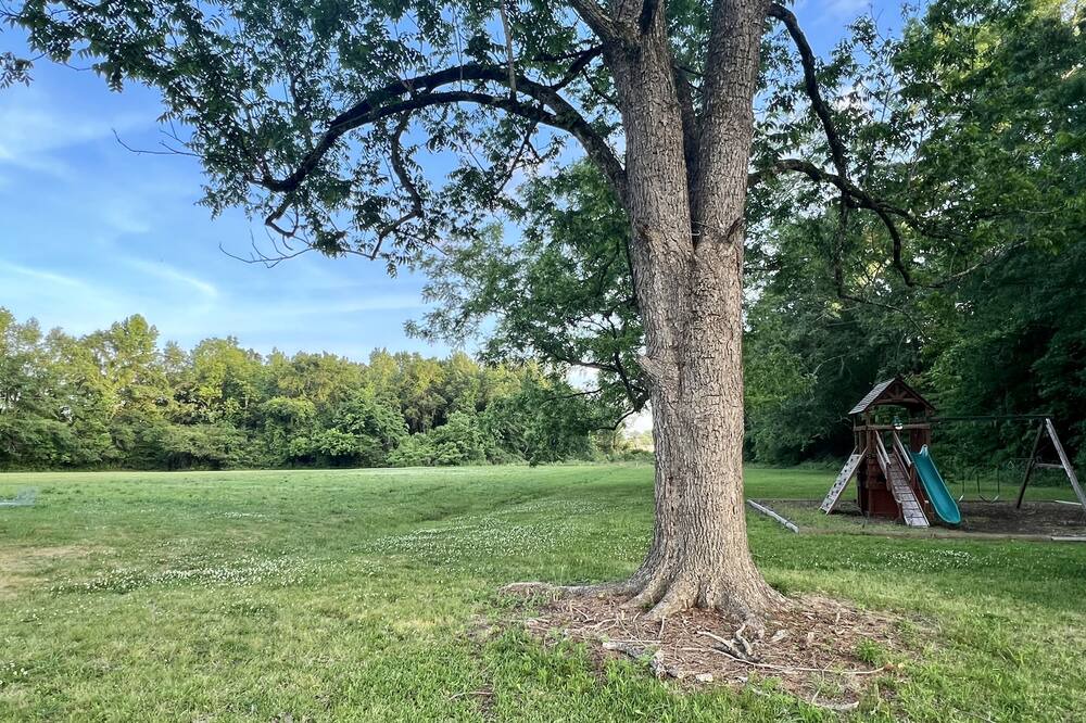 Photo of Outdoor in Clanton