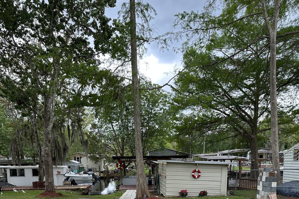 Photo of Outdoor in Satsuma