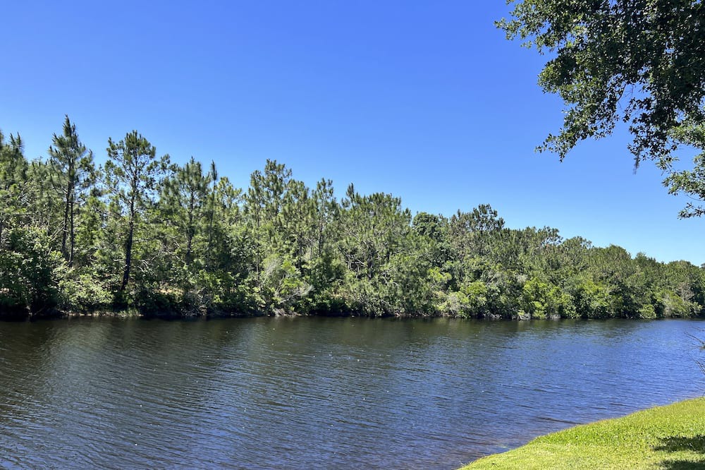 Photo of Others in Ponte Vedra