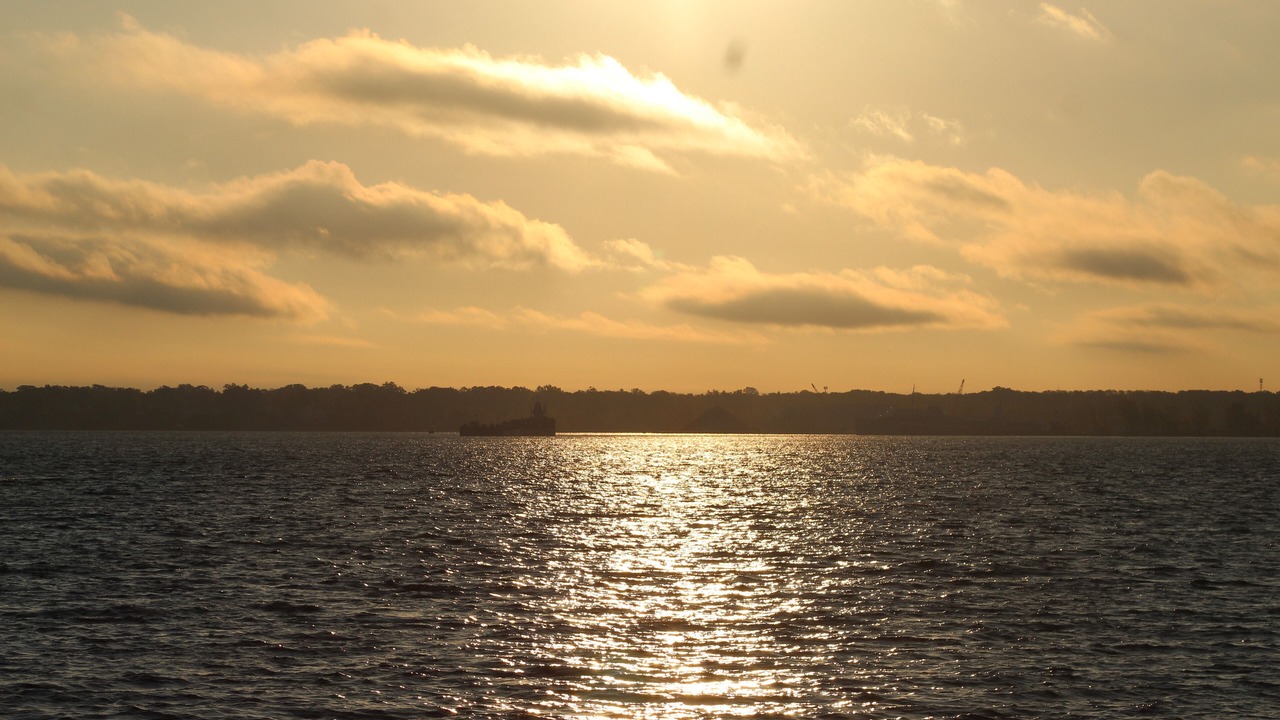 Photo of Others in Muskegon