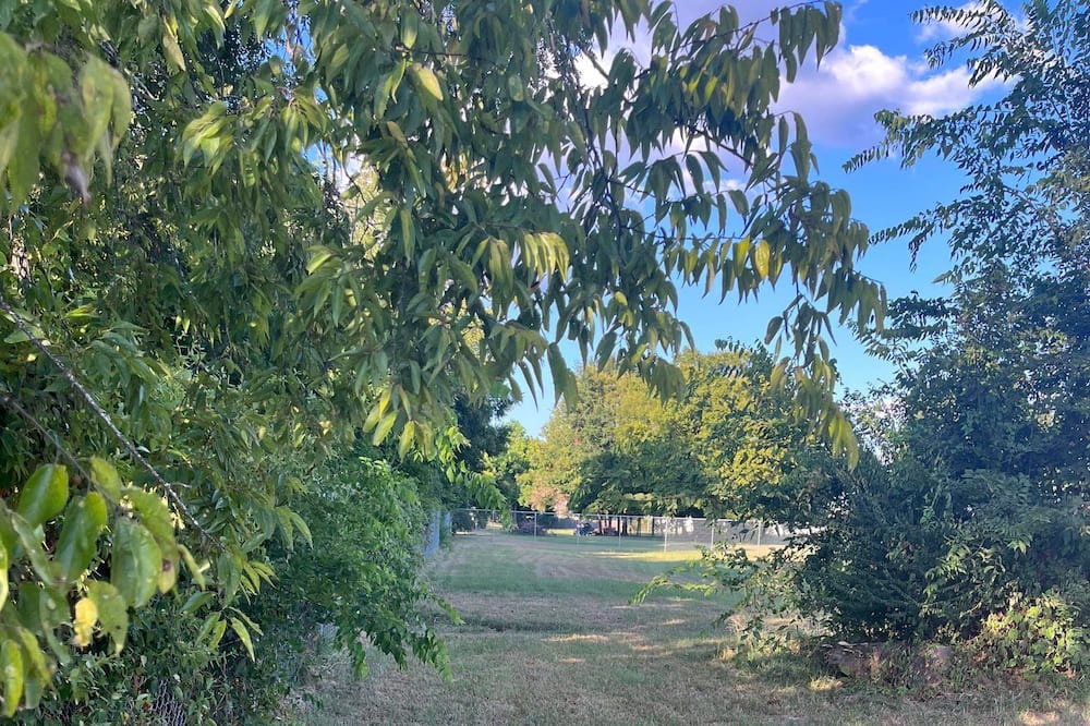 Photo of Outdoor in Sterlington