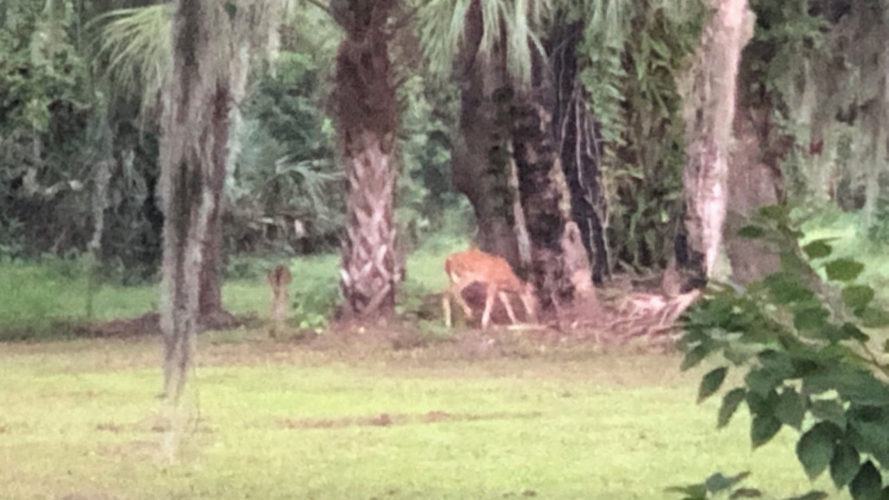 Photo of Outdoor in Georgetown