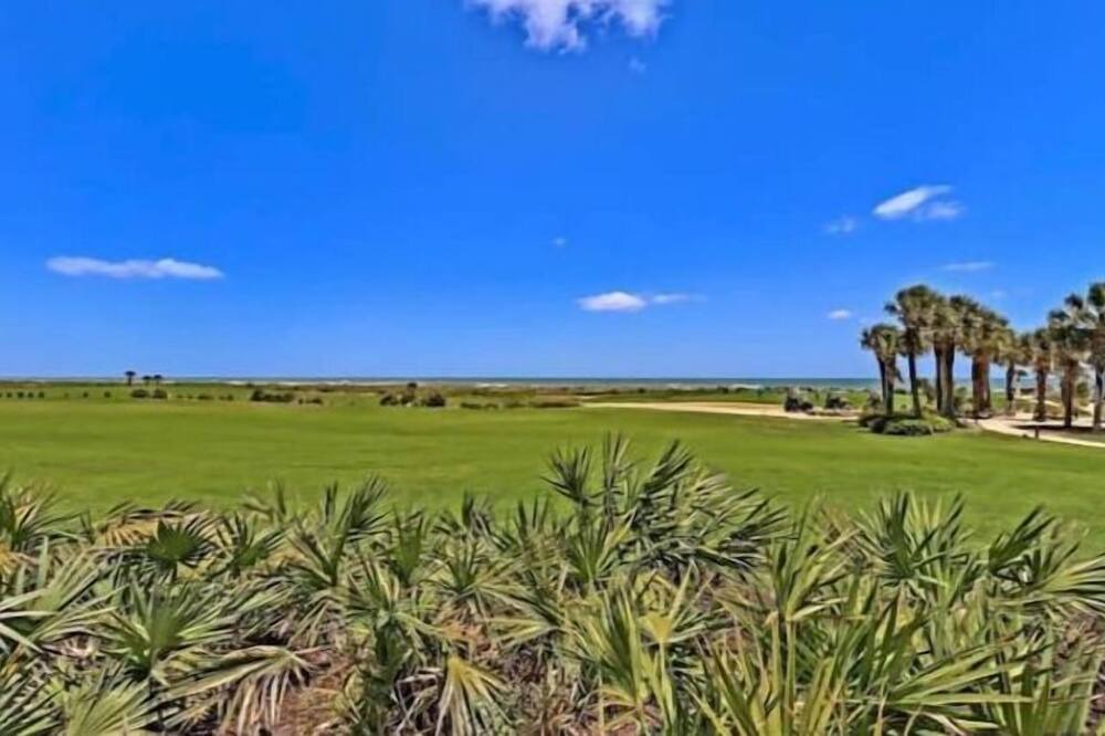Photo of Others in Palm Coast