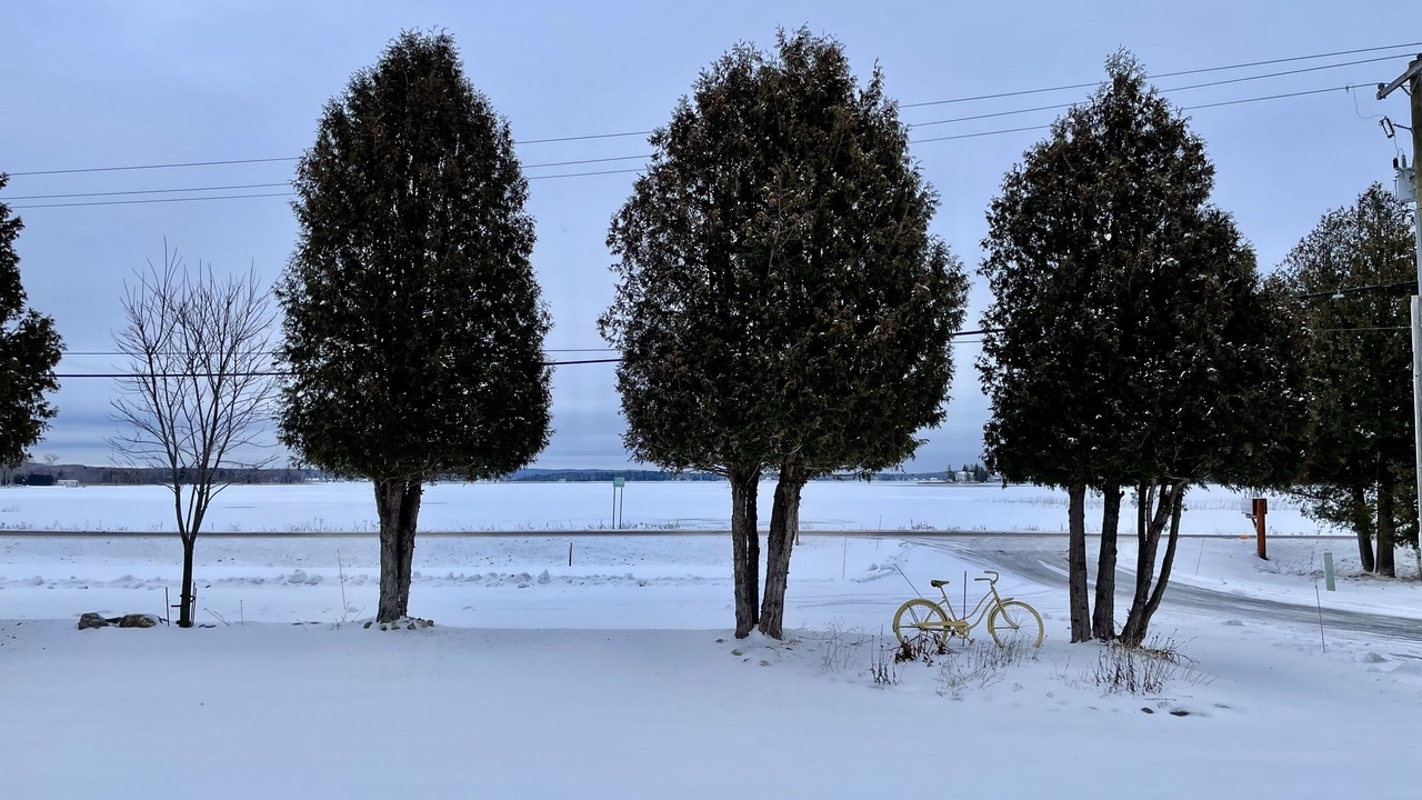 Photo of Others in Conway