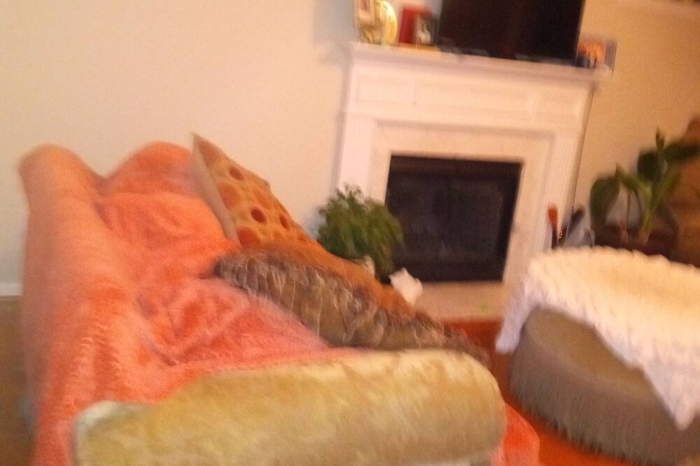 Photo of Livingroom in Pelham