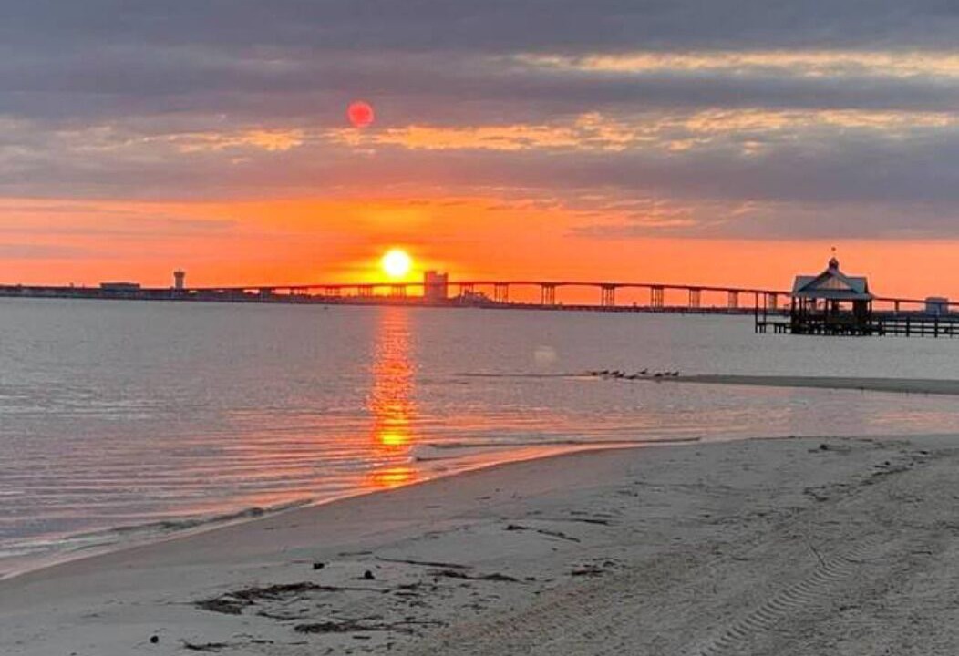 Photo of Others in Gulf Hills