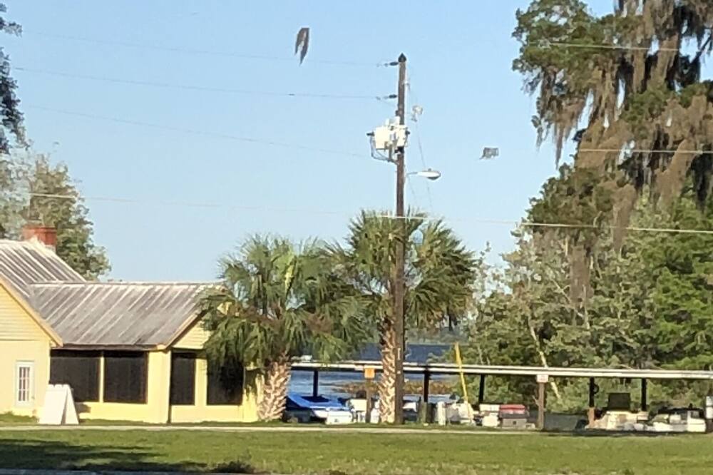 Photo of Others in Fruitland Park