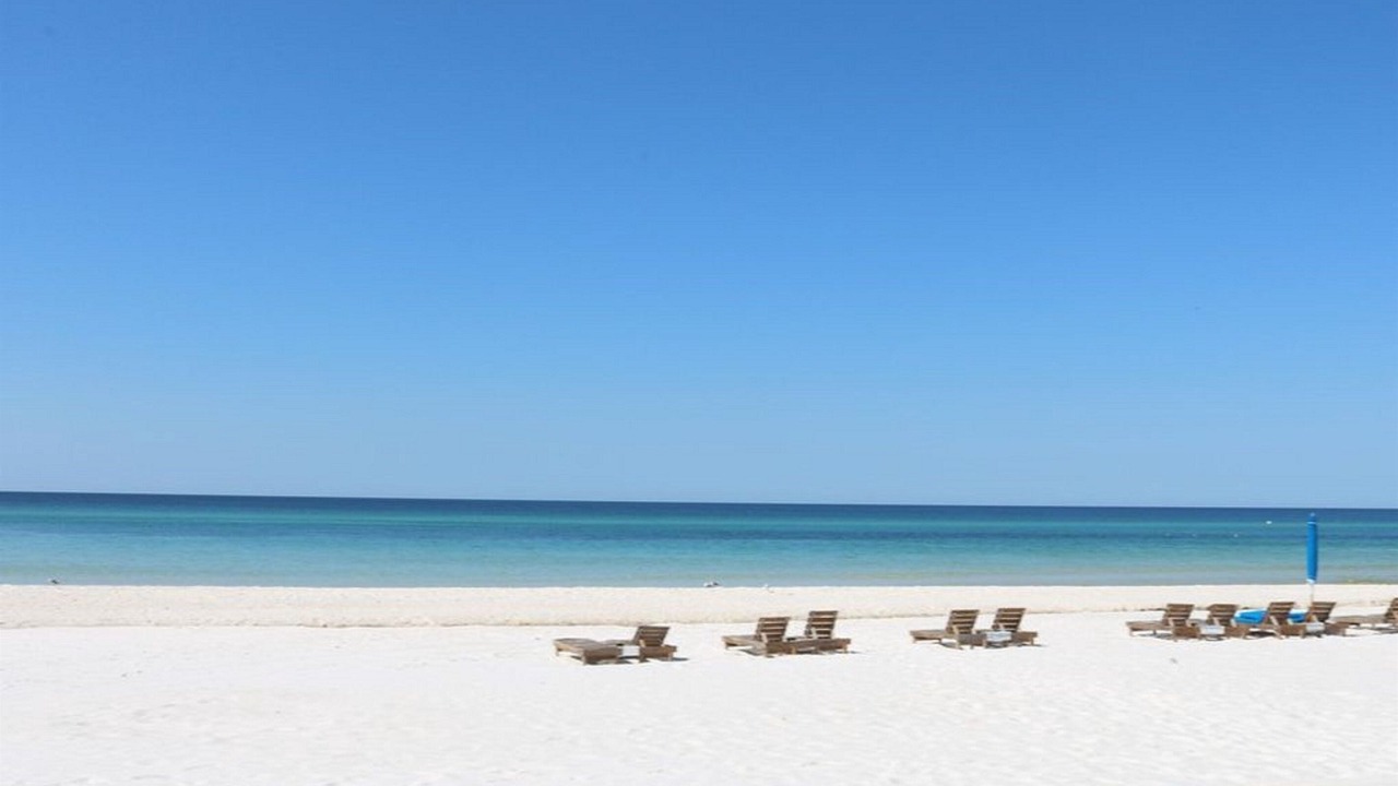Photo of Others in West Panama City Beach