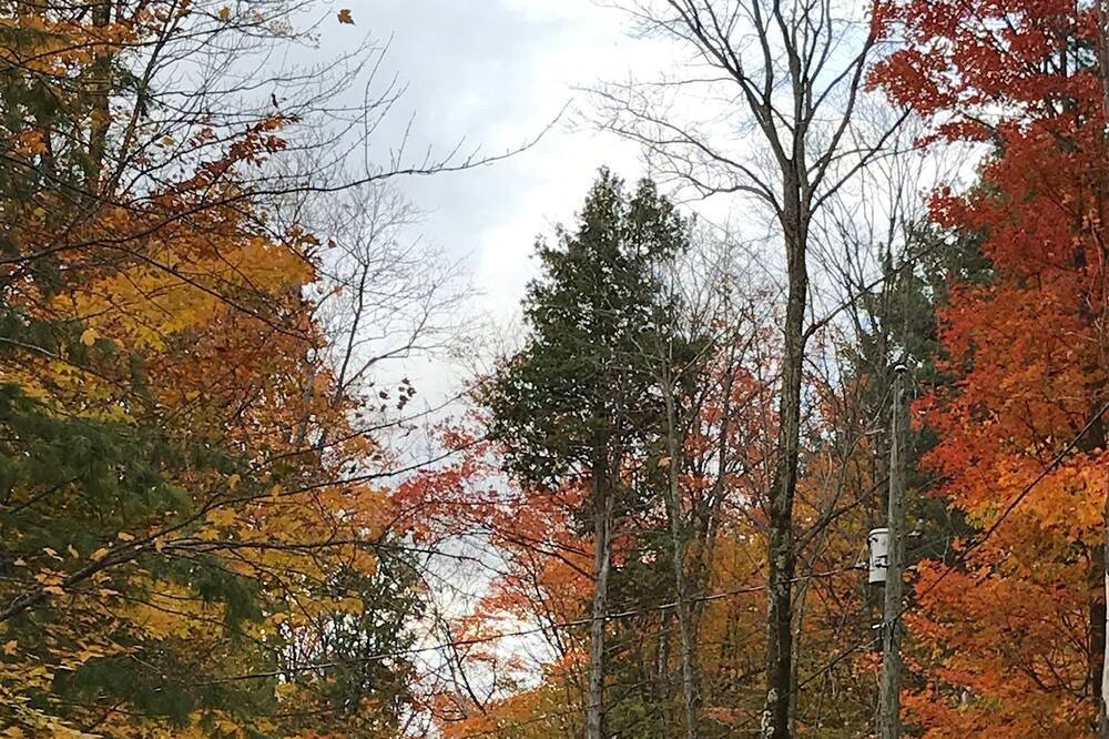 Photo of Outdoor in Central Lake