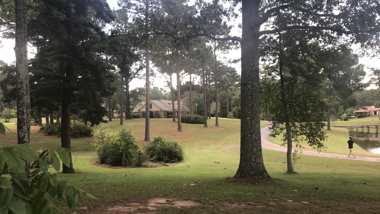 Photo of Outdoor in Hattiesburg