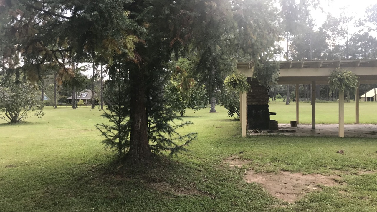 Photo of Outdoor in Hattiesburg