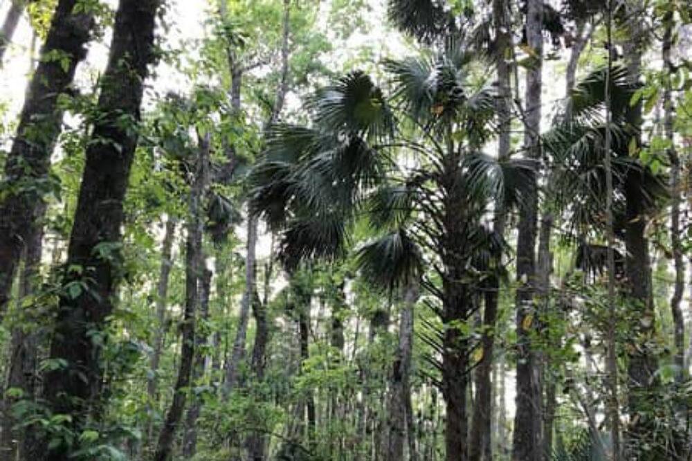 Photo of Outdoor in Crescent City