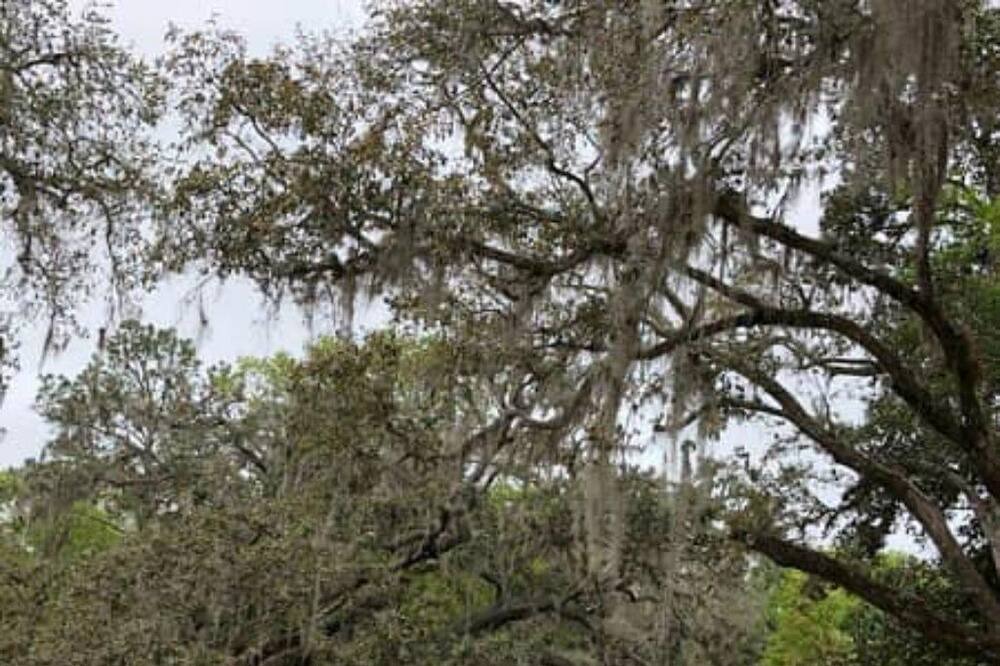 Photo of Outdoor in Crescent City