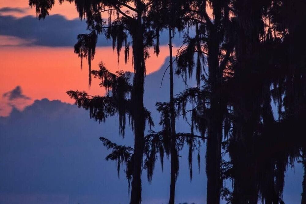 Photo of Others in Mandeville