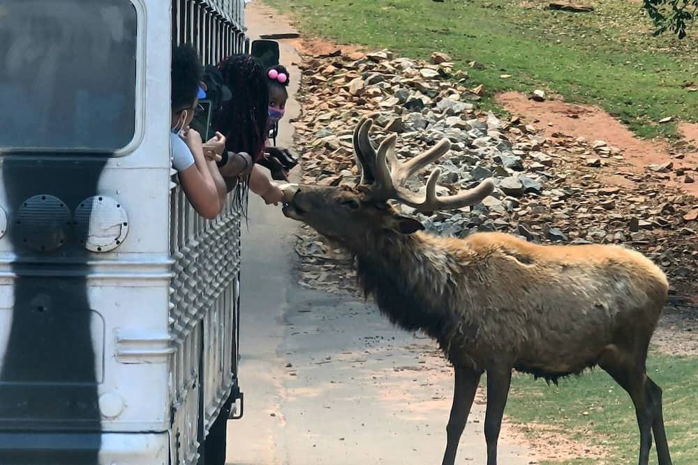 Photo of Others in Warm Springs
