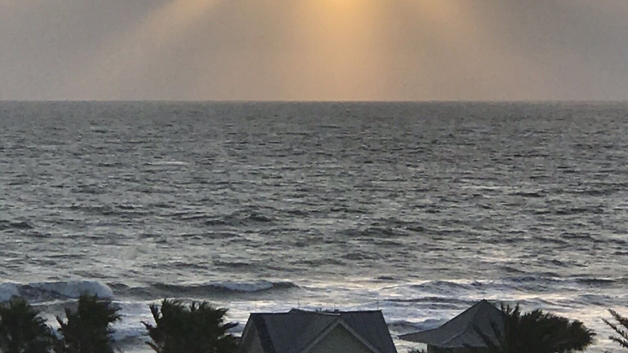 Photo of Others in Palm Coast