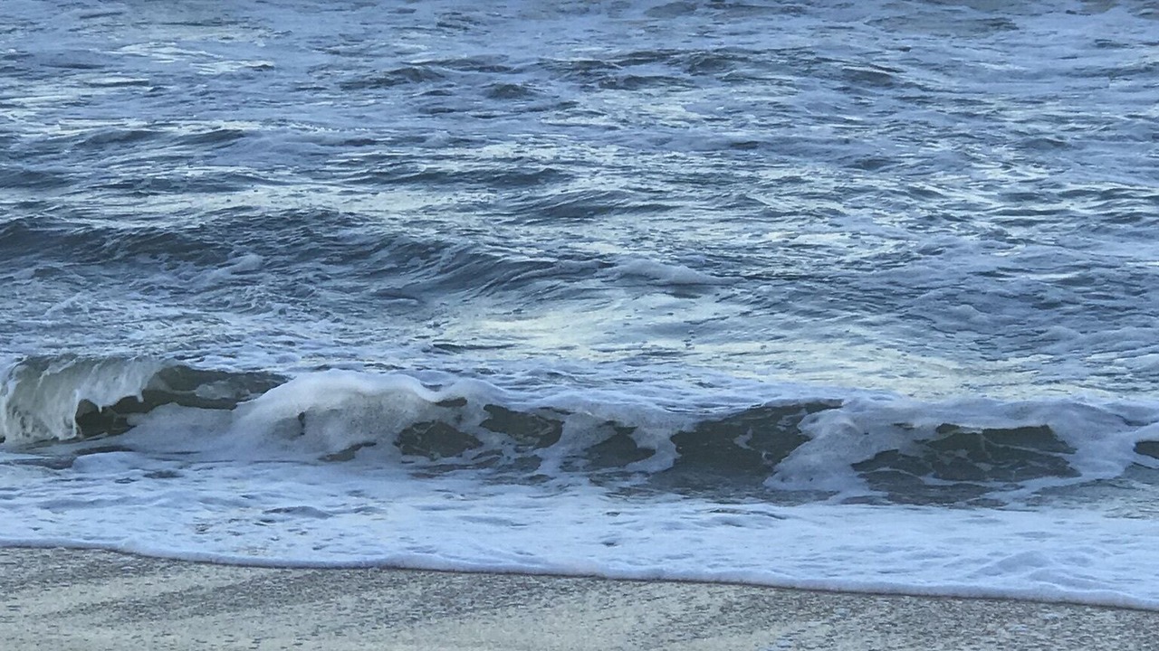 Photo of Others in Palm Coast