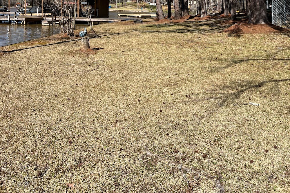 Photo of Outdoor in Eatonton